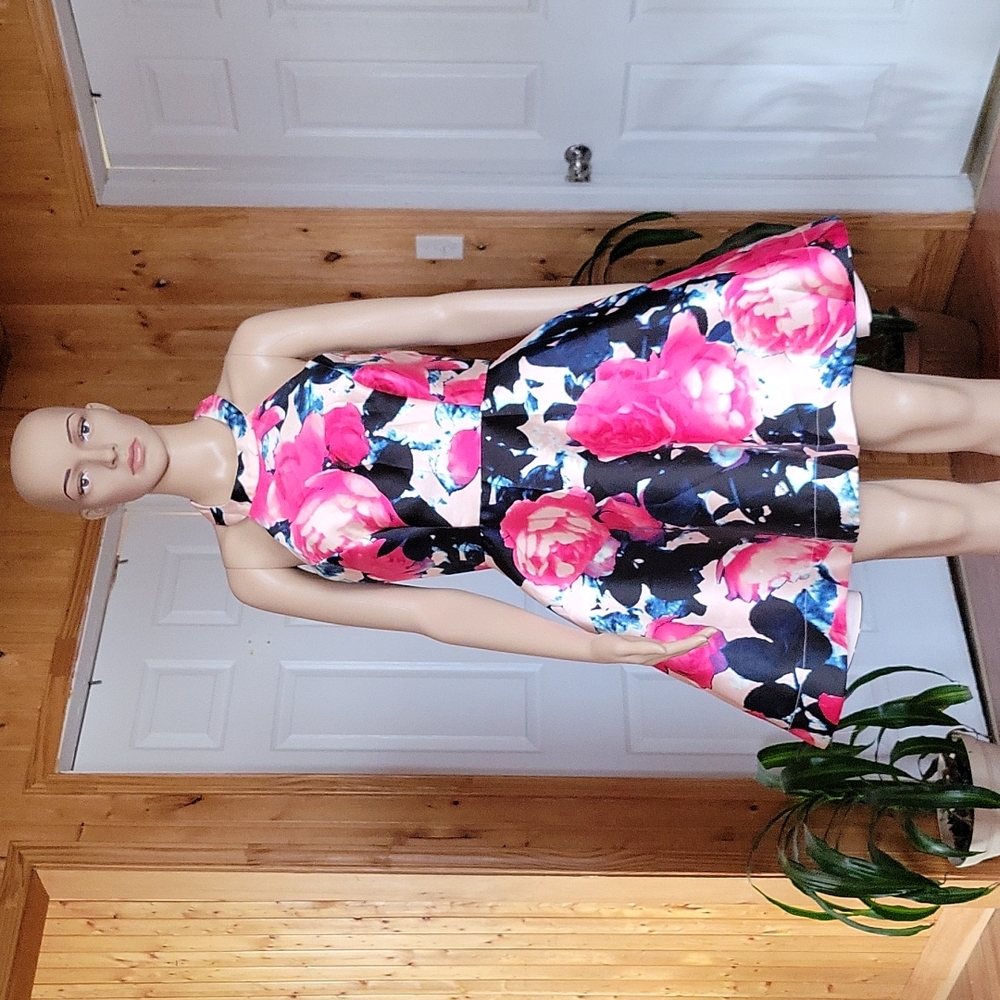 B.Darlin Sleeve Less Floral Skater Dress